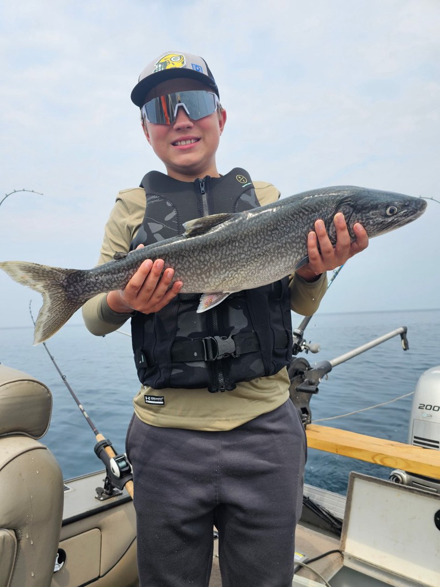 Porcupine Point